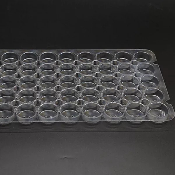  PETG Thermoforming Film Manufacturer - PETG Transparent Film-002